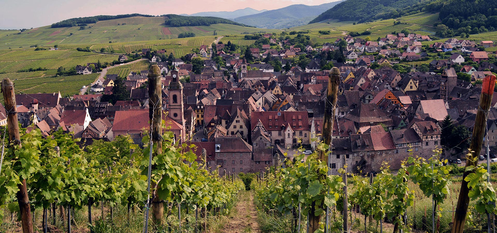 Vue panoramique sur Riquewihr